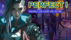 Perfect Play! Member Poinbet Sukses Raih Rp40 Juta